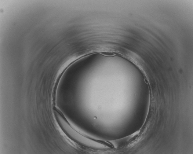 X0000063490803200601271718