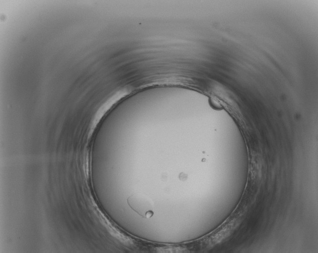 X0000063490804200601271718