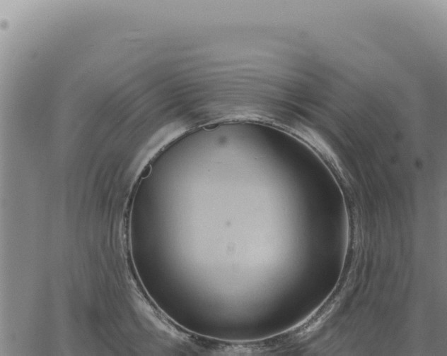 X0000063490806200601271718