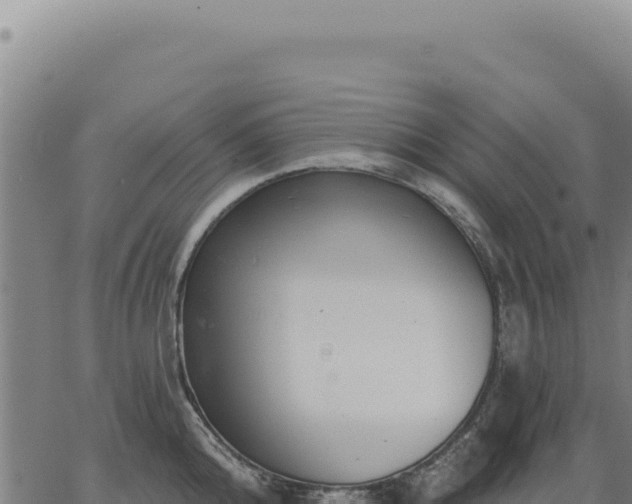 X0000063490808200601271718