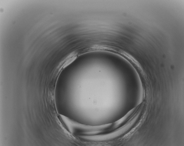 X0000063490809200601271718