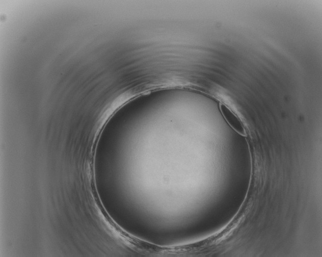 X0000063490810200601271718