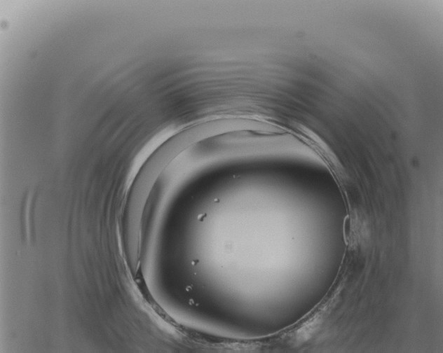 X0000063490812200601271718