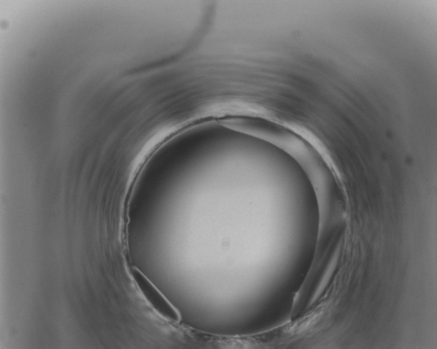 X0000063490815200601271718