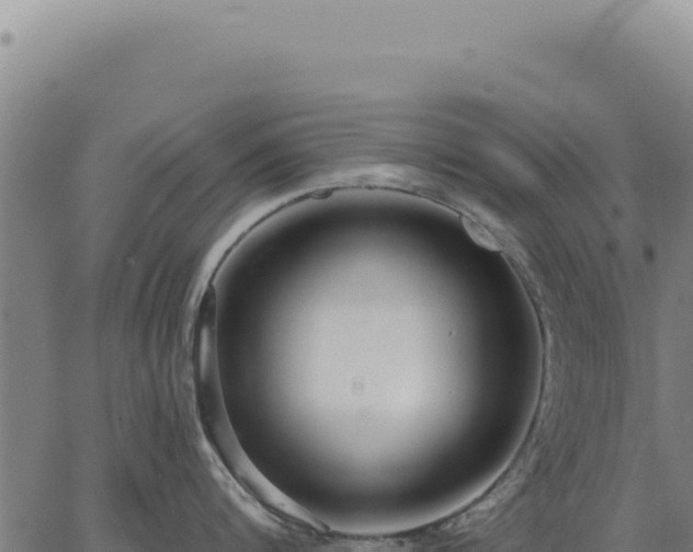 X0000063490816200601271718