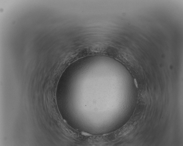 X0000063490817200601271717