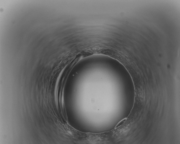 X0000063490818200601271717