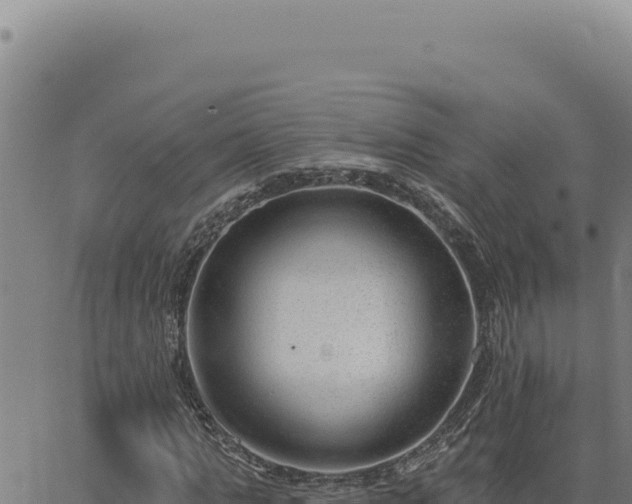 X0000063490821200601271717