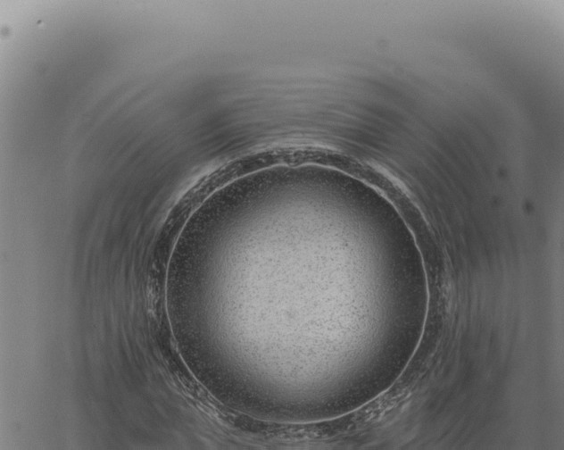 X0000063490823200601271717