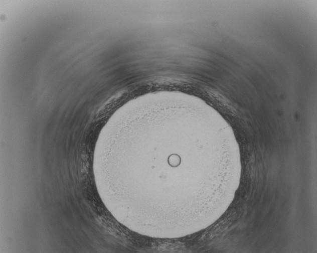 X0000063490824200601271718