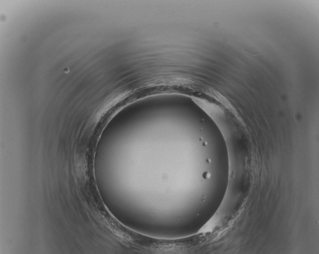 X0000063490826200601271718