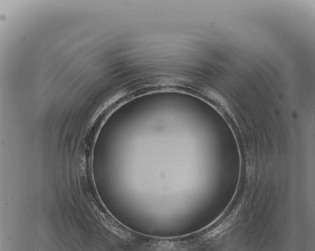 X0000063490827200601271718