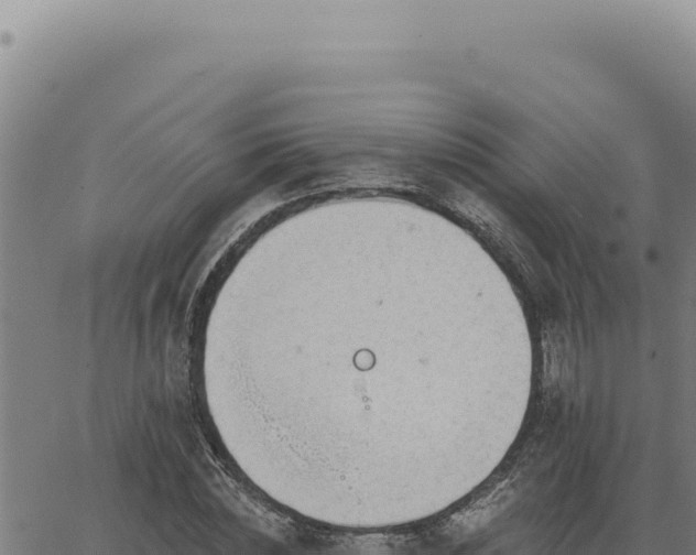 X0000063490828200601271718