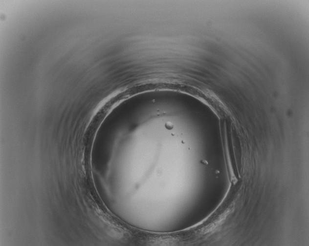 X0000063490830200601271718