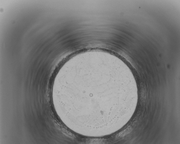 X0000063490832200601271718