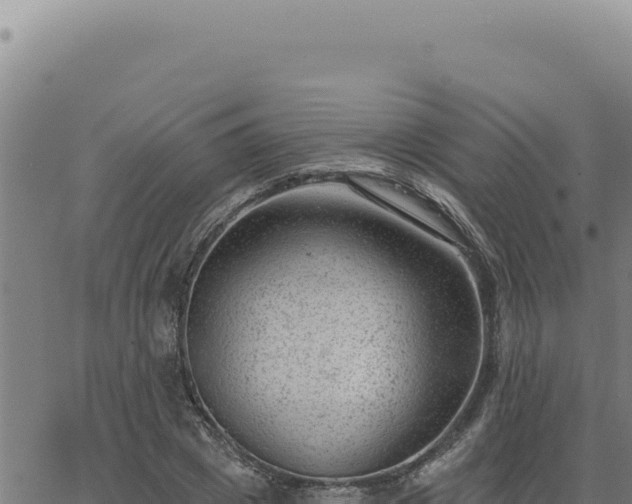 X0000063490833200601271718