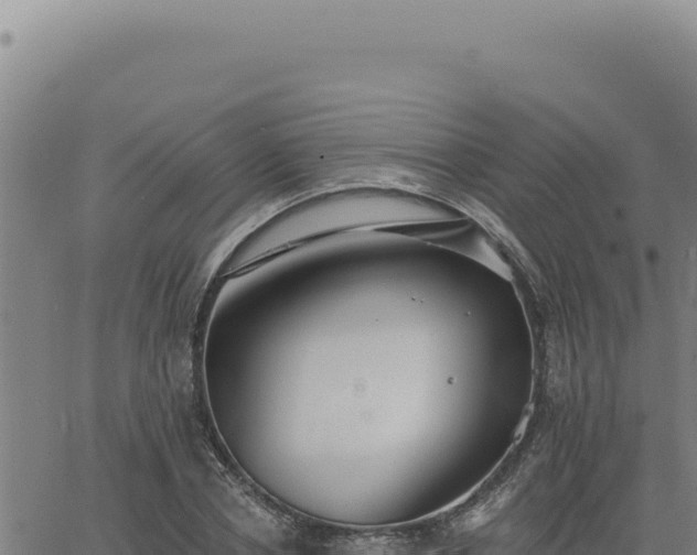 X0000063490834200601271718