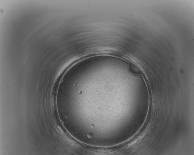 X0000063490835200601271718