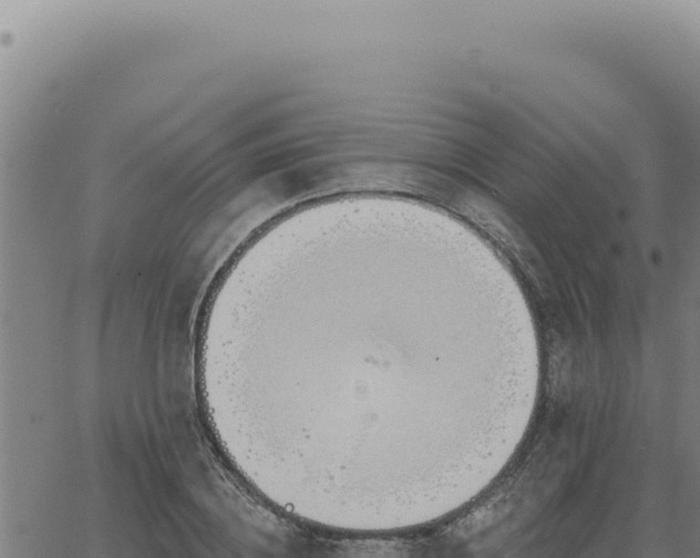 X0000063490836200601271718