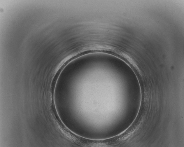 X0000063490837200601271718