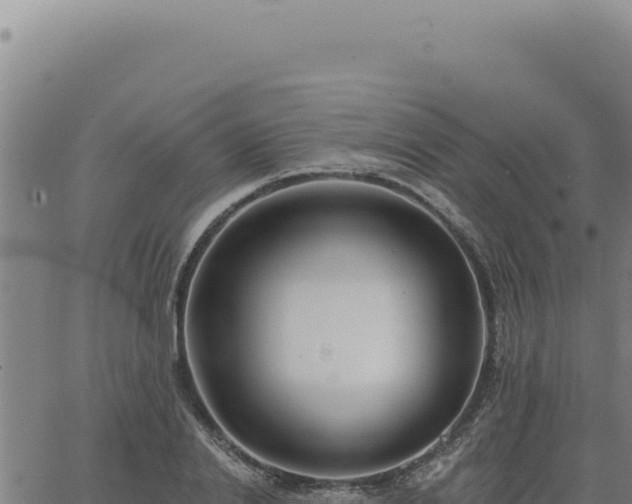 X0000063490838200601271718