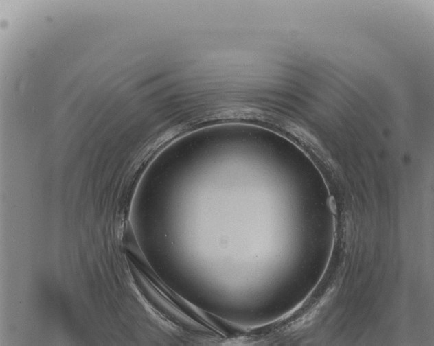 X0000063490841200601271718