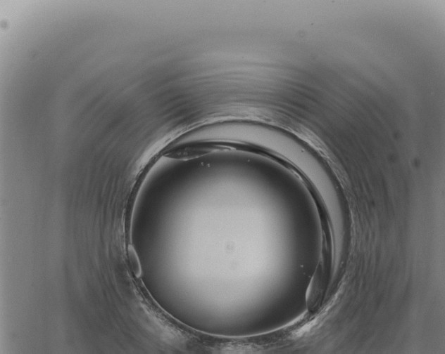 X0000063490842200601271718