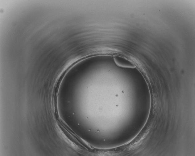 X0000063490843200601271718