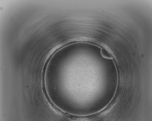 X0000063490845200601271718