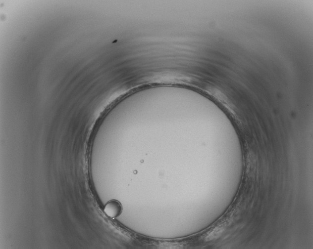 X0000063490848200601271718