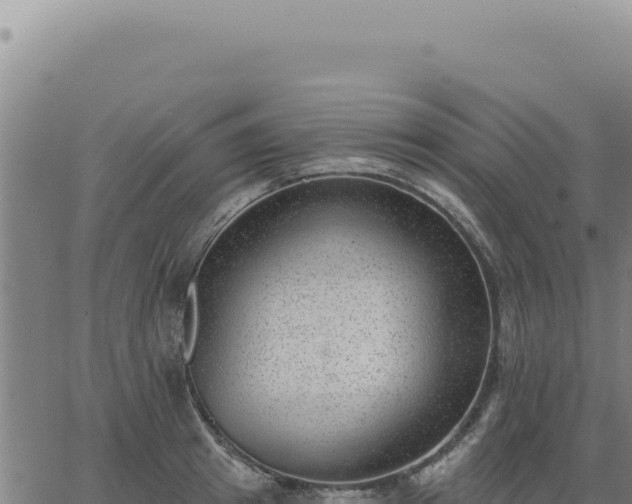 X0000063490849200601271718