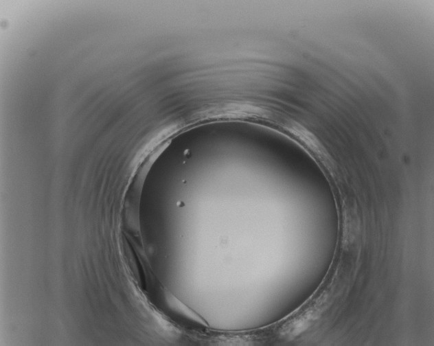 X0000063490850200601271718