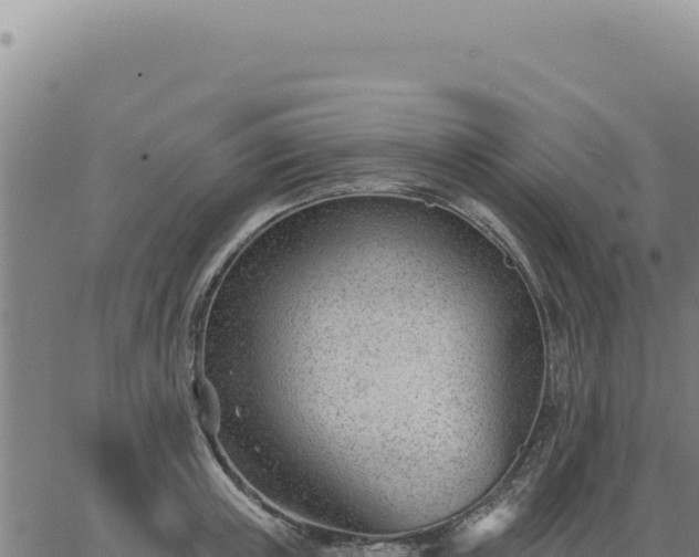 X0000063490851200601271718