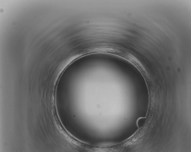 X0000063490852200601271718