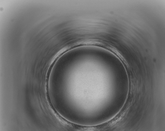 X0000063490853200601271718