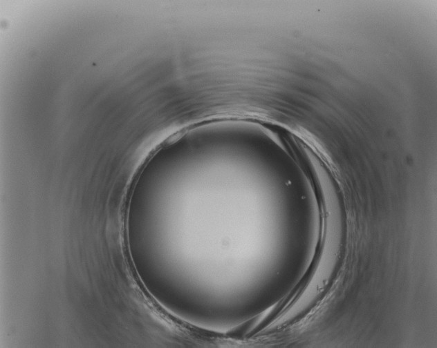 X0000063490854200601271718