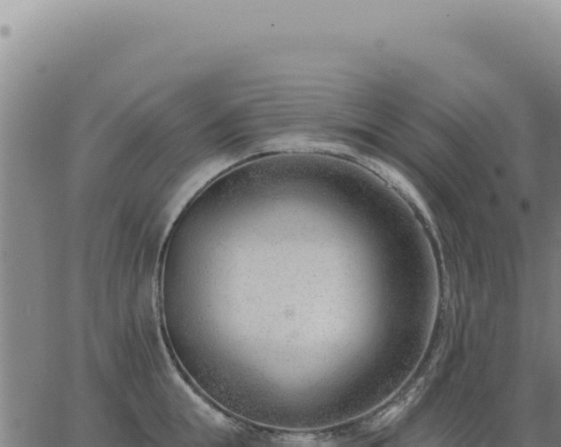 X0000063490855200601271718