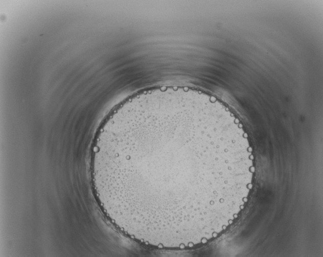 X0000063490856200601271718