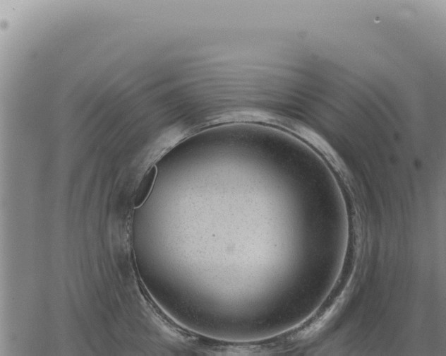 X0000063490857200601271718