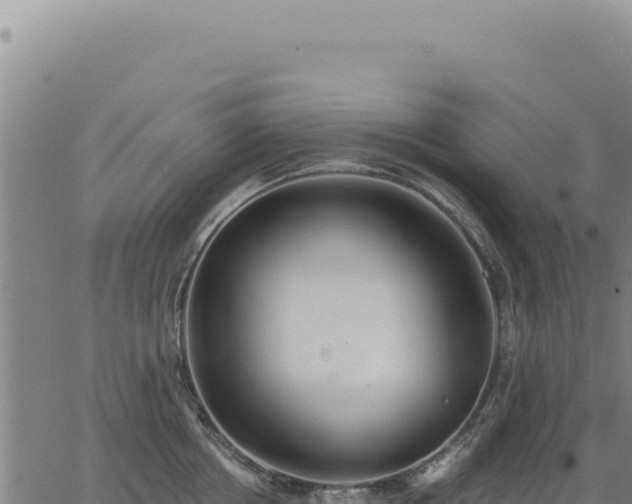 X0000063490858200601271718