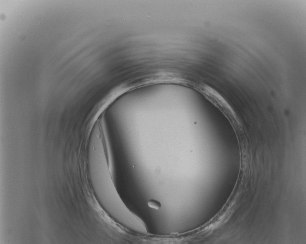 X0000063490860200601271718