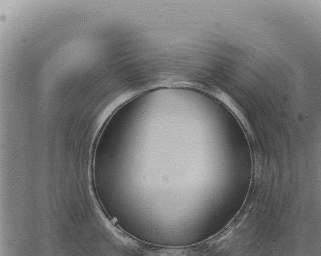 X0000063490861200601271718