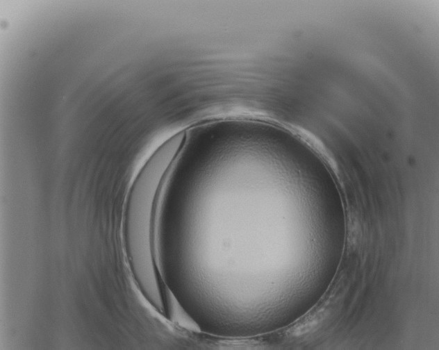 X0000063490863200601271718