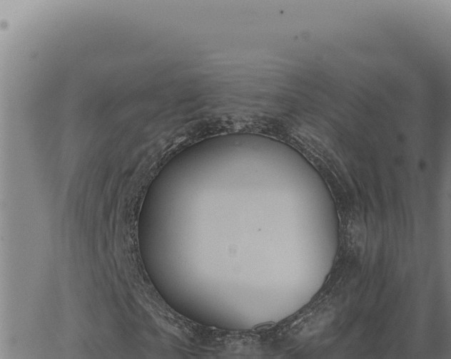 X0000063490865200601271717