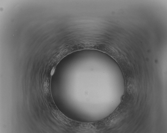 X0000063490866200601271717