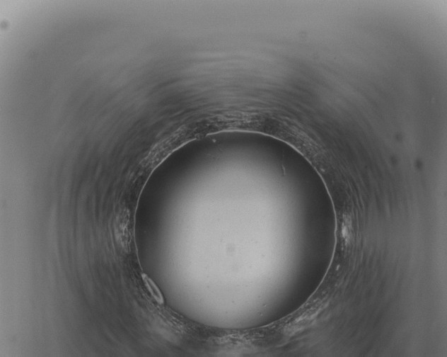 X0000063490867200601271717