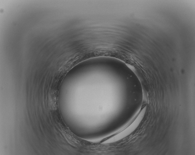 X0000063490868200601271717