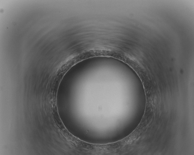 X0000063490870200601271717