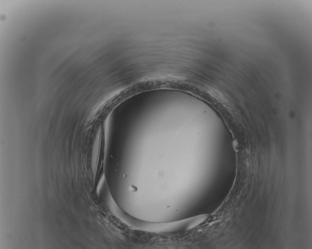 X0000063490872200601271717