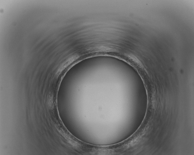 X0000063490873200601271717